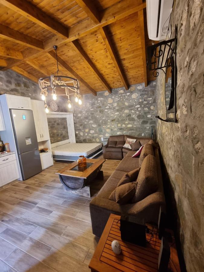 House With Big Garden And Barbeque In Nature Vourgareli Extérieur photo