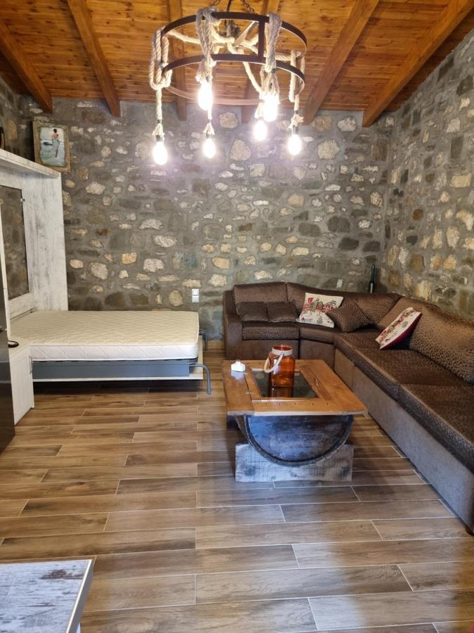 House With Big Garden And Barbeque In Nature Vourgareli Extérieur photo