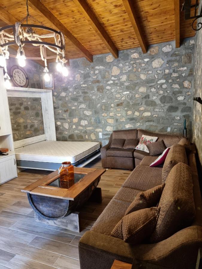 House With Big Garden And Barbeque In Nature Vourgareli Extérieur photo