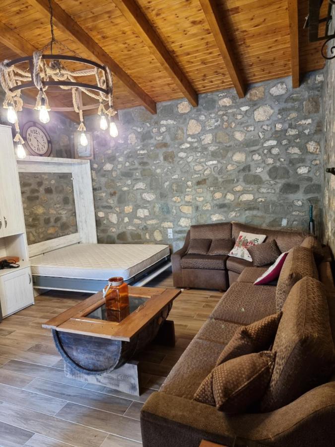 House With Big Garden And Barbeque In Nature Vourgareli Extérieur photo