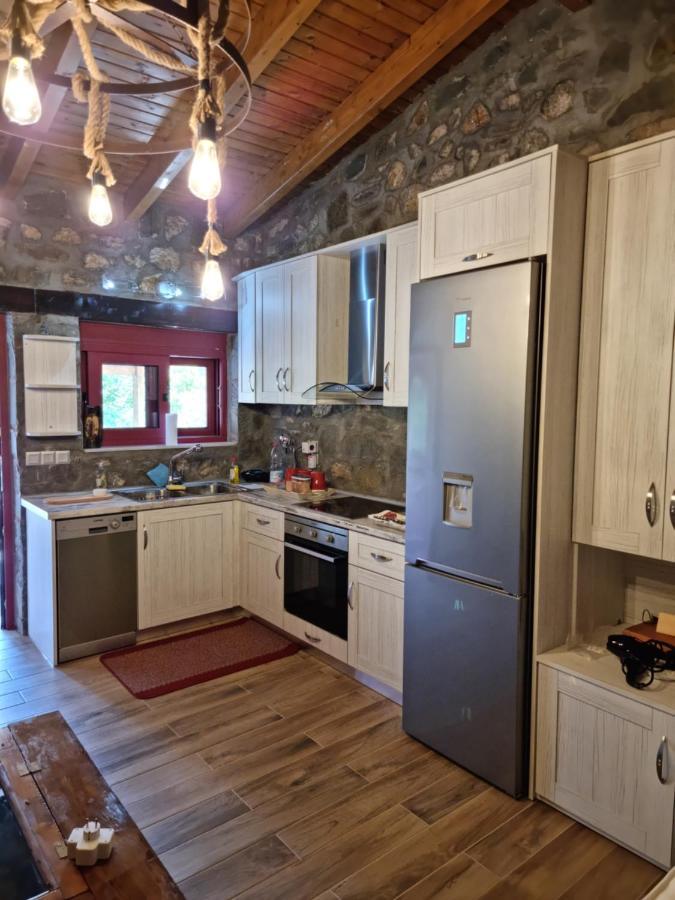 House With Big Garden And Barbeque In Nature Vourgareli Extérieur photo