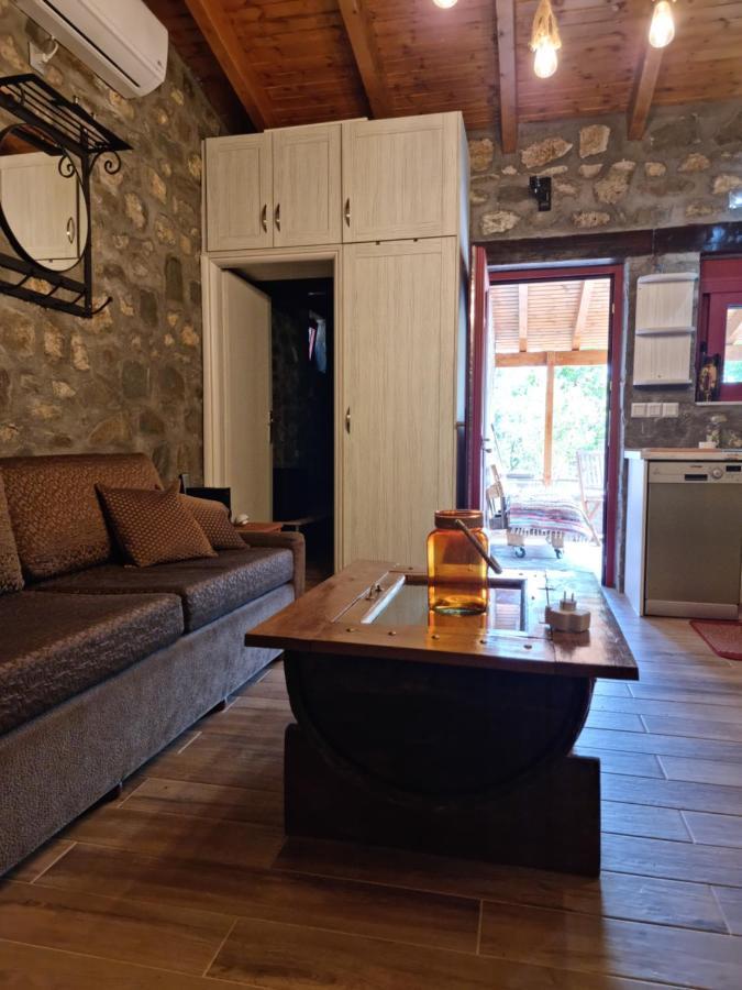 House With Big Garden And Barbeque In Nature Vourgareli Extérieur photo