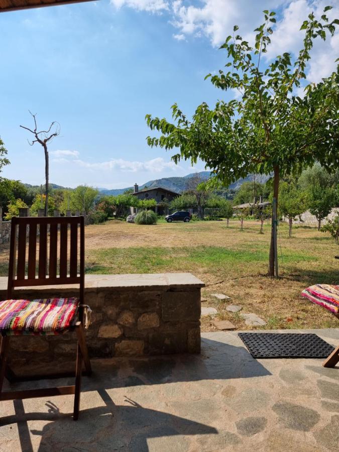 House With Big Garden And Barbeque In Nature Vourgareli Extérieur photo