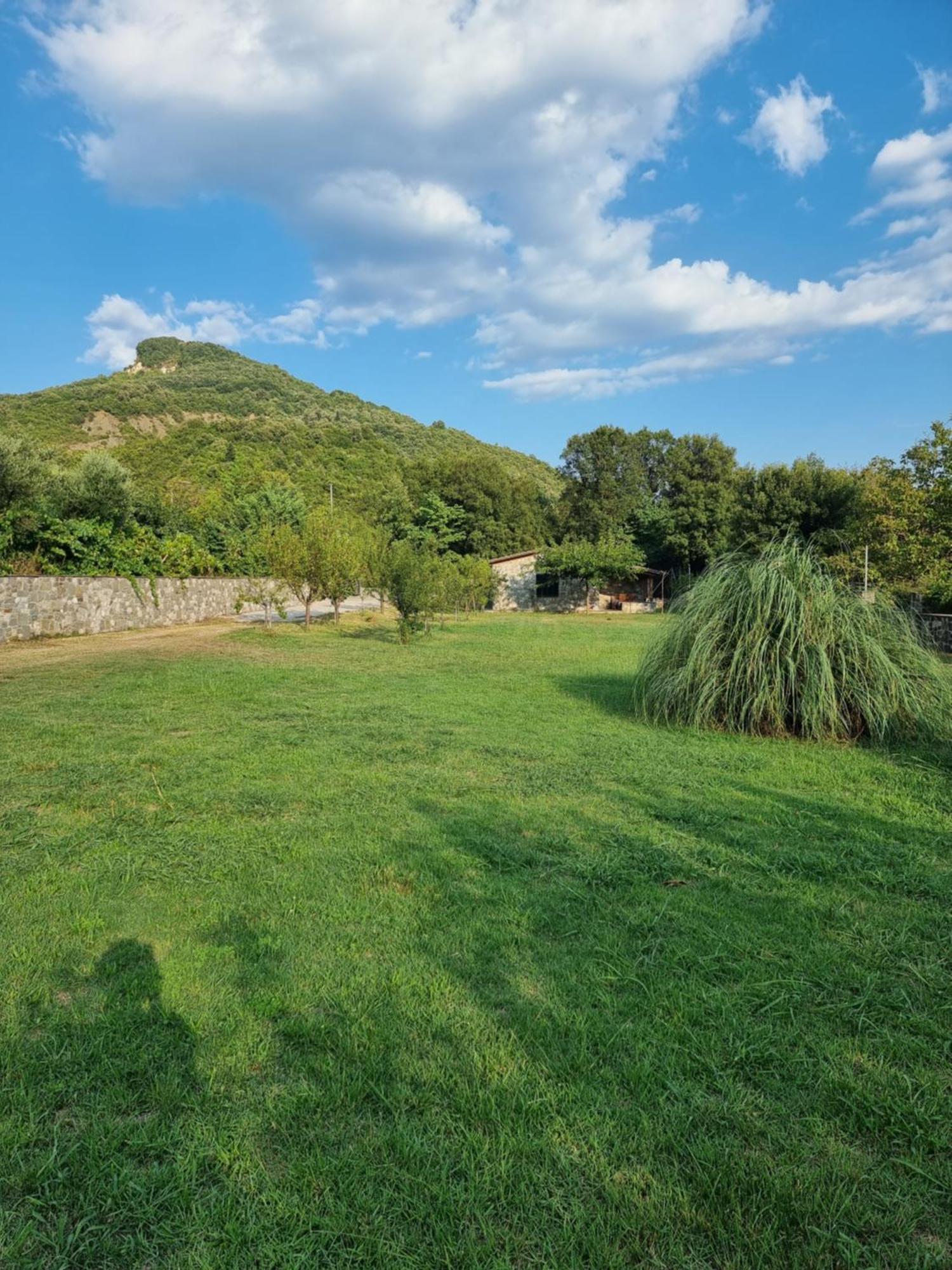 House With Big Garden And Barbeque In Nature Vourgareli Extérieur photo