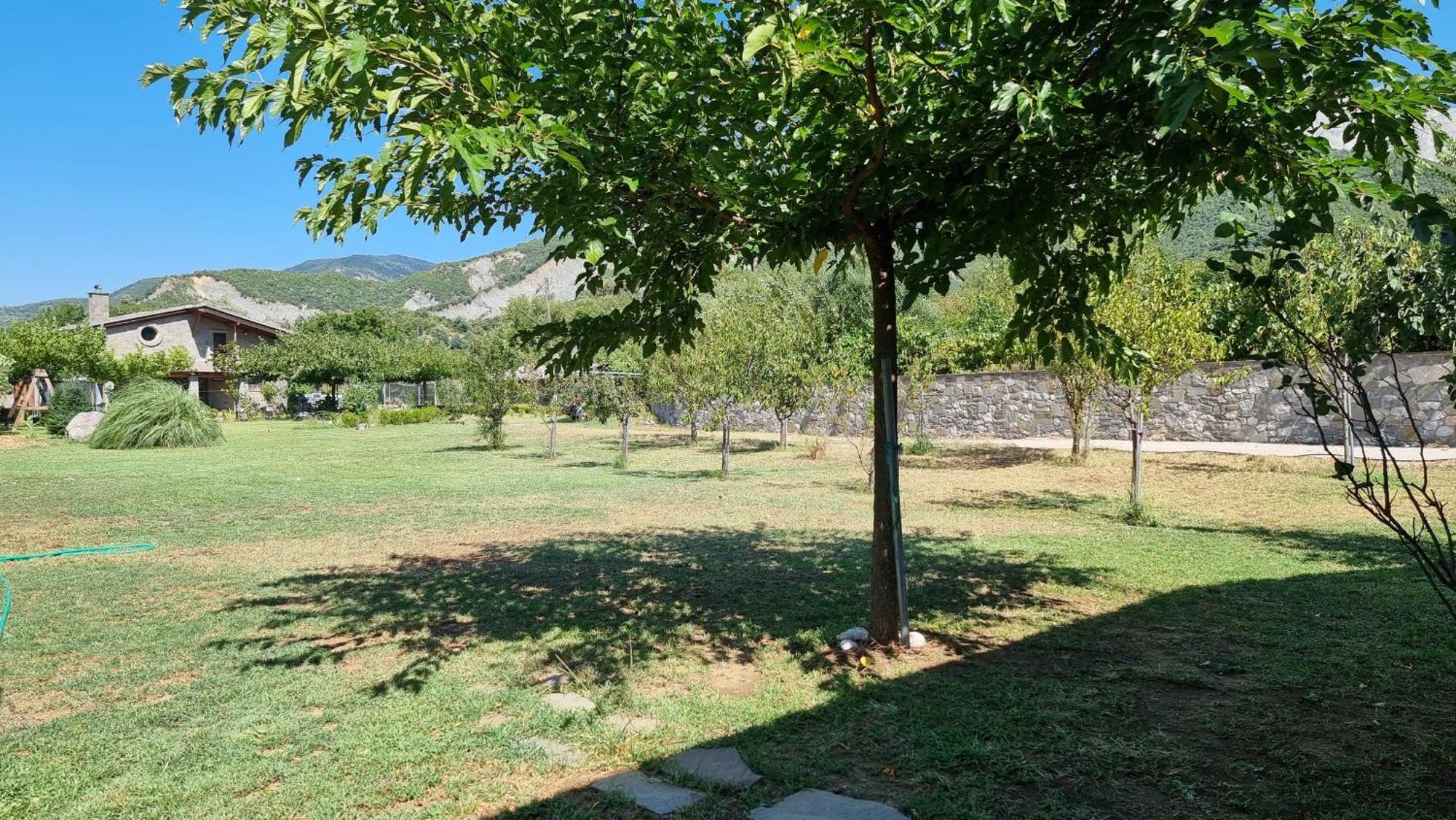 House With Big Garden And Barbeque In Nature Vourgareli Extérieur photo